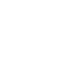 Indian Scouts sold at Indian Motorcycle of Mineola, NY